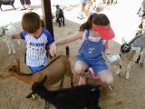 KK and Ethan feeding baby goatsFri Jun 3 11:04:30 CDT 2005