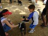 KK and Ethan brushing baby goatFri Jun 3 11:10:04 CDT 2005